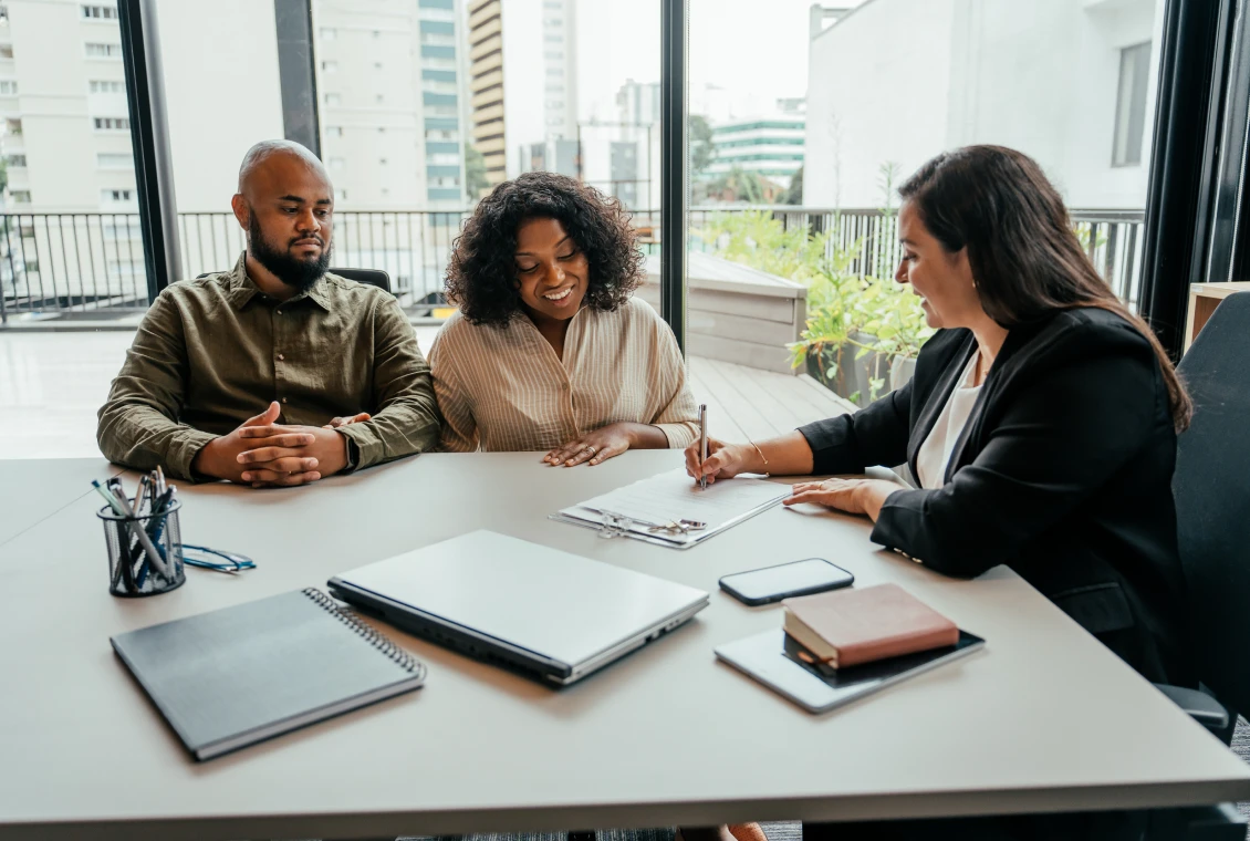 Professional consultation with clients